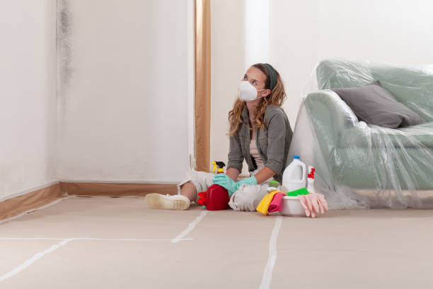 Reliable Mold Remediation contractor in Merchantville, NJ by Cheap Mold Removal